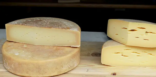 Est-ce que le fromage se congèle  ?